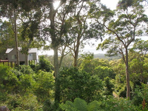Bundle Hill Cottages - Accommodation Sunshine Coast 22
