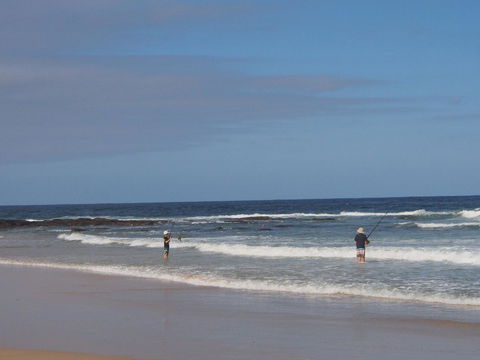 Bundle Hill Cottages - Accommodation Sunshine Coast 10