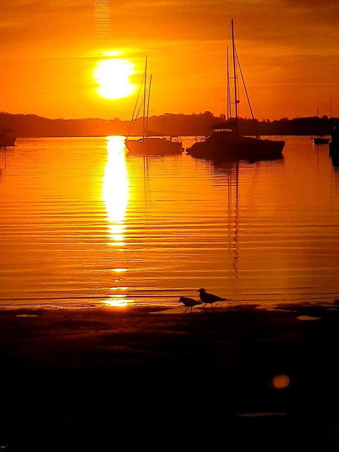 Marina Resort - Accommodation Sunshine Coast 3