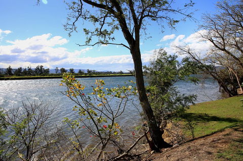 Terara Riverside Retreat - Accommodation Sunshine Coast 27