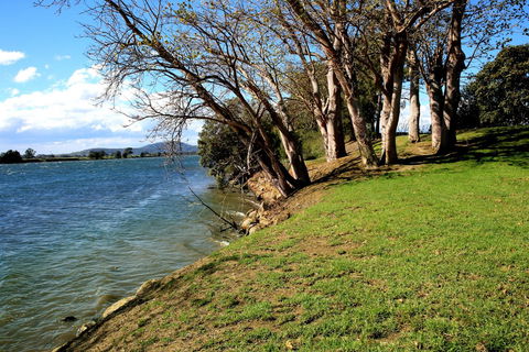 Terara Riverside Retreat - Accommodation Sunshine Coast 32