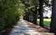 Terara Riverside Retreat - thumb 30
