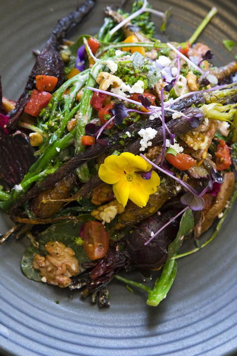 Sage Hotel Wollongong - Accommodation Sunshine Coast 21
