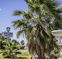 Allonville Gardens Motel - Accommodation Sunshine Coast