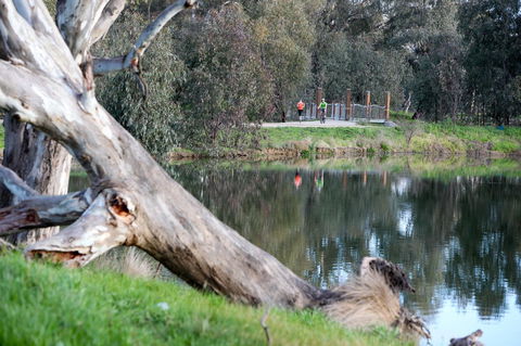 Mercure Albury - Accommodation Sunshine Coast 15