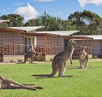 Discovery Parks  Pambula Beach - Accommodation Sunshine Coast