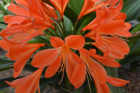 JE Guesthouse, Central To All The Hunter Valley Has To Offer - Accommodation Sunshine Coast 39