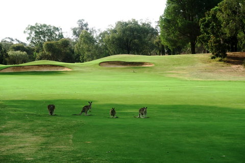 Mulwala Resort - Accommodation Sunshine Coast 40