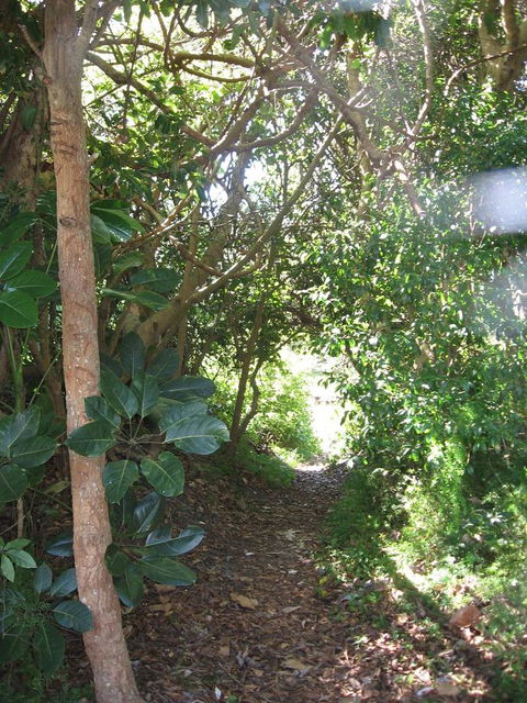 Wollongbar Motel - Accommodation Sunshine Coast 10