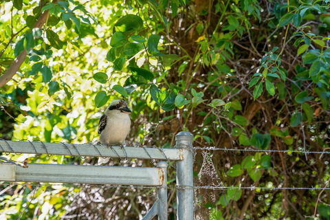 Wollongbar Motel - Accommodation Sunshine Coast 8