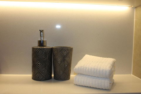 Stunning Views Sydney Olympic Park - Accommodation Sunshine Coast 24