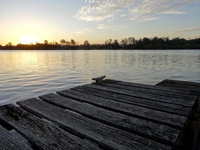 Book Urunga Accommodation Vacations Accommodation Sunshine Coast Accommodation Sunshine Coast