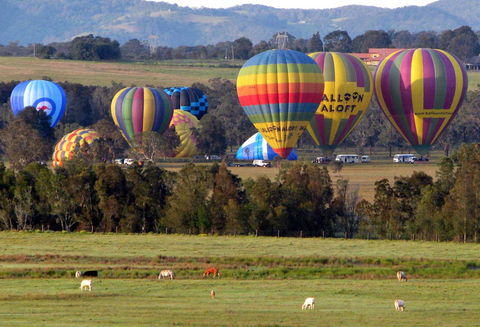 Adina Vineyard - Accommodation Sunshine Coast 9