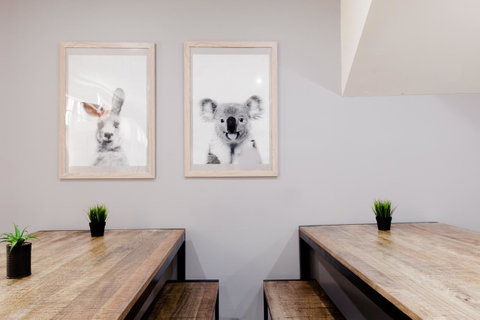 Mad Monkey Broadway - Accommodation Sunshine Coast 0