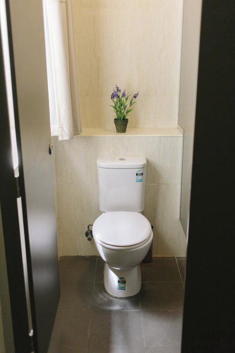 Mad Monkey Broadway - Accommodation Sunshine Coast 32