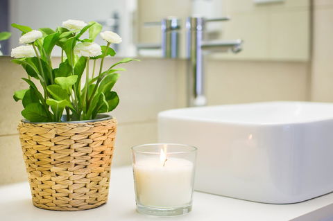 Alpine Gables - Accommodation Sunshine Coast 21