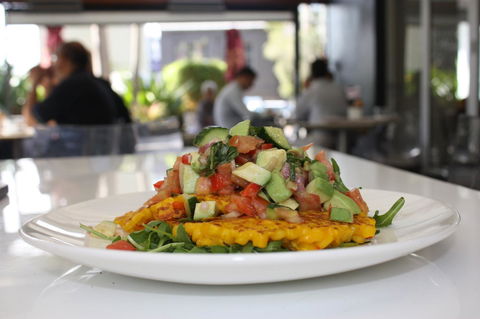 Hotel Urban St Leonards - Accommodation Sunshine Coast 19