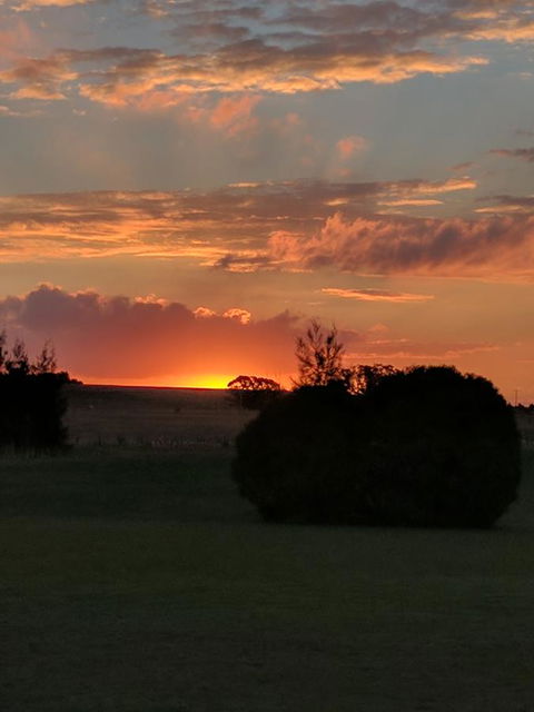 Madigan Wine Country Cottages - Accommodation Sunshine Coast 13