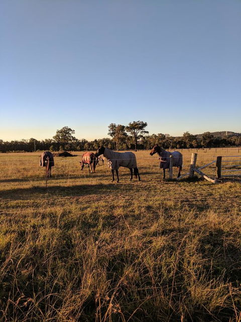 Madigan Wine Country Cottages - Accommodation Sunshine Coast 8