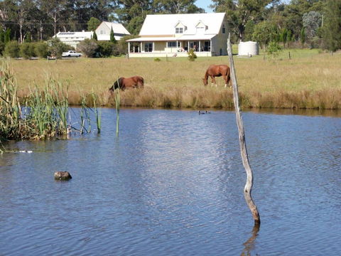 Madigan Wine Country Cottages - Accommodation Sunshine Coast 2