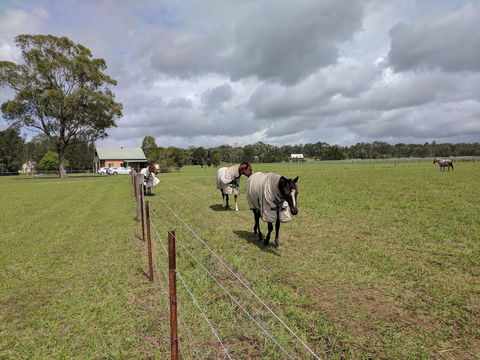 Madigan Wine Country Cottages - Accommodation Sunshine Coast 9