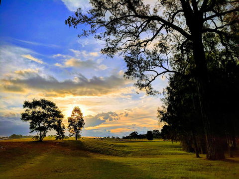 Madigan Wine Country Cottages - Accommodation Sunshine Coast 11