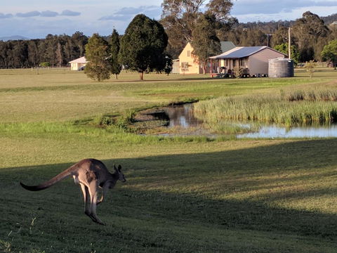 Madigan Wine Country Cottages - Accommodation Sunshine Coast 6