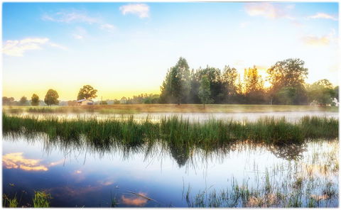 Madigan Wine Country Cottages - Accommodation Sunshine Coast 19