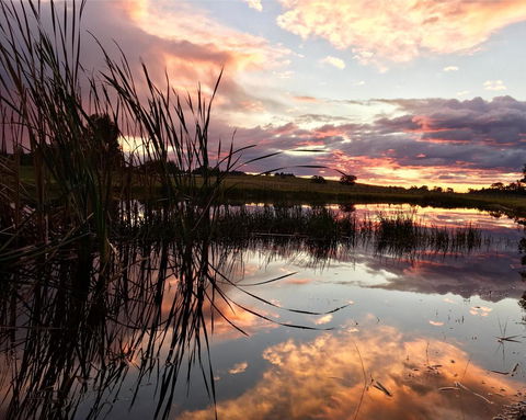 Madigan Wine Country Cottages - Accommodation Sunshine Coast 16