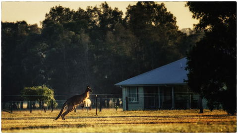 Madigan Wine Country Cottages - Accommodation Sunshine Coast 5