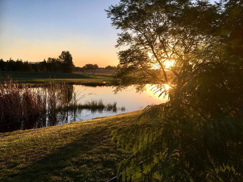 Madigan Wine Country Cottages - Accommodation Sunshine Coast 17