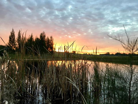 Madigan Wine Country Cottages - Accommodation Sunshine Coast 14