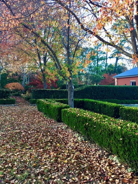 Chanticleer Gardens Barn Cottage With A Pool - Accommodation Sunshine Coast 37