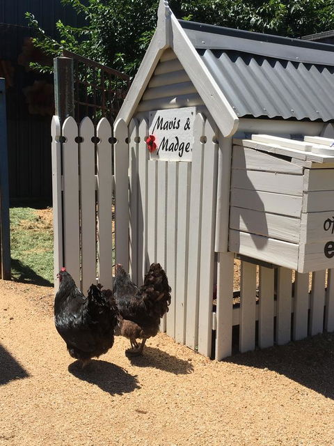 Thelma's Temora - Accommodation Sunshine Coast 12