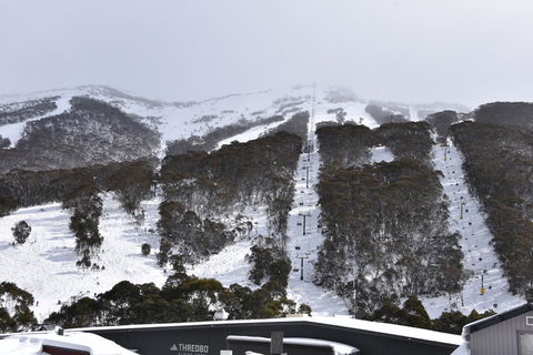 Pure Chalet Thredbo - Accommodation Sunshine Coast 6