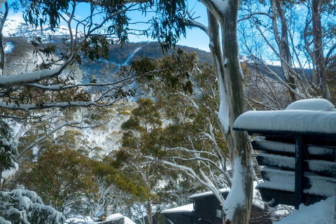 Pure Chalet Thredbo - Accommodation Sunshine Coast 30