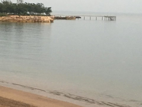 Nightcliff Foreshore Getaway - McKay Gardens - Accommodation Sunshine Coast 27