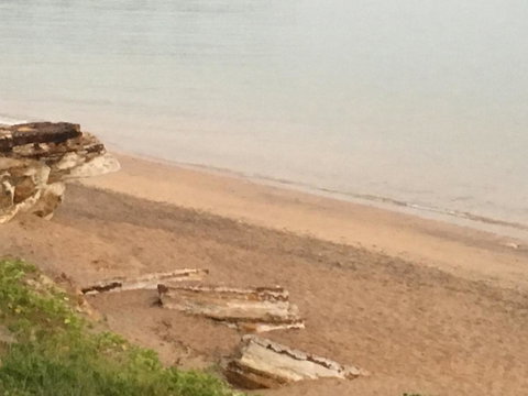 Nightcliff Foreshore Getaway - McKay Gardens - Accommodation Sunshine Coast 28