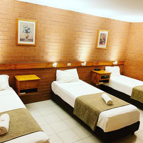 Pine Tree Motel - Accommodation Sunshine Coast 31