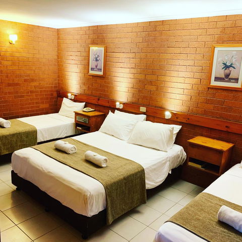 Pine Tree Motel - Accommodation Sunshine Coast 19