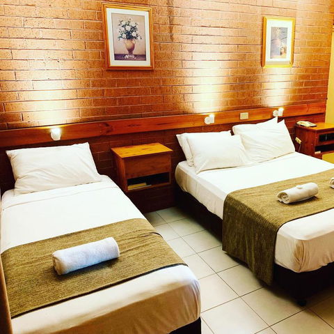 Pine Tree Motel - Accommodation Sunshine Coast 27