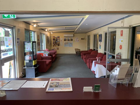 Pine Tree Motel - Accommodation Sunshine Coast 36