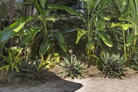 Book Stuart Park Accommodation Vacations Accommodation Sunshine Coast Accommodation Sunshine Coast