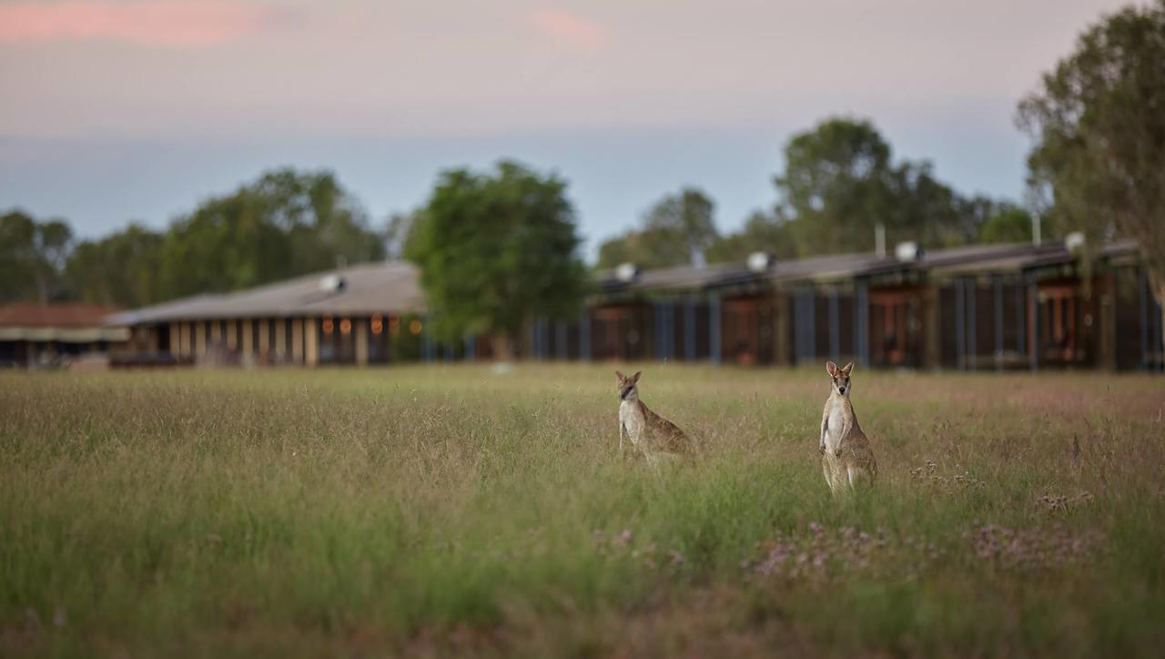 Woolaning NT Accommodation Sunshine Coast