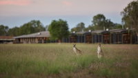 Book Point Stuart Accommodation Vacations Accommodation Sunshine Coast Accommodation Sunshine Coast