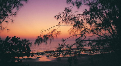 Darwin Beach Escape Holiday Home - Accommodation Sunshine Coast 25