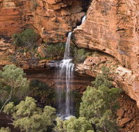 Kings Creek Station - Accommodation Sunshine Coast
