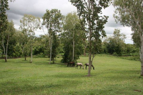 Mount Bundy Station - Accommodation Sunshine Coast 25