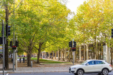 Highgate Executive Apartment City Walk Canberra - Accommodation Sunshine Coast 37