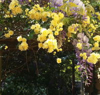 Bowral Road Bed and Breakfast - Accommodation Sunshine Coast